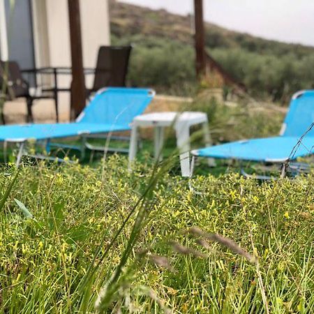 Villa Oniro Kreta 卡拉马基 外观 照片