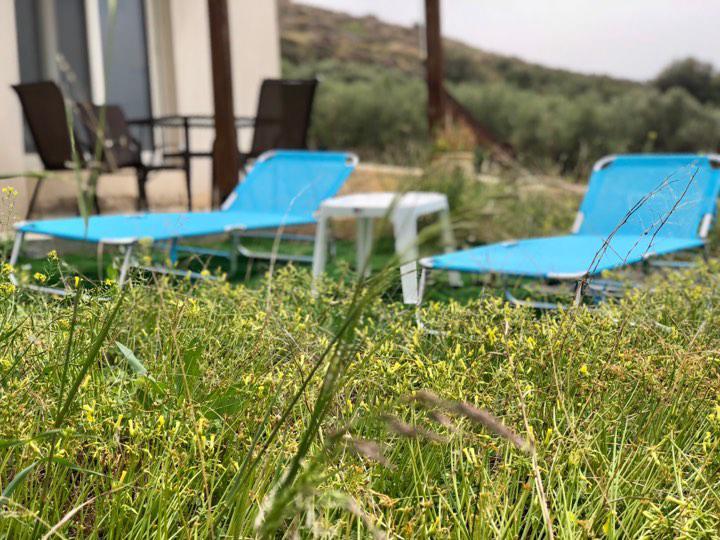 Villa Oniro Kreta 卡拉马基 外观 照片